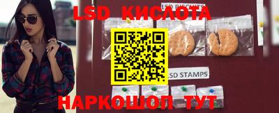 mdpv Дмитров
