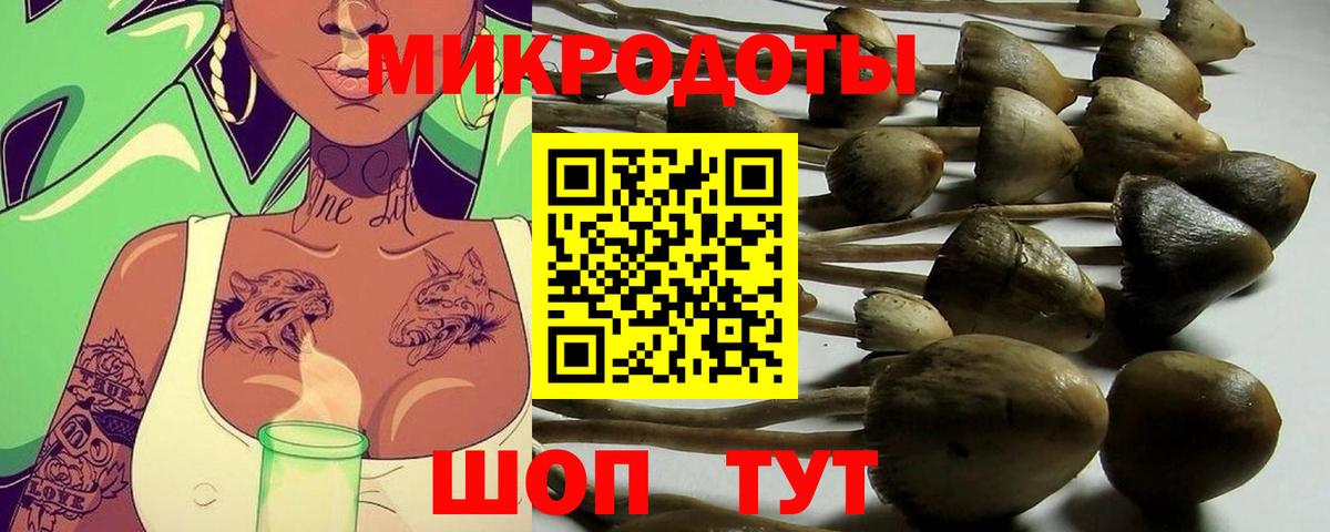Псилоцибиновые грибы GOLDEN TEACHER Берёзовский